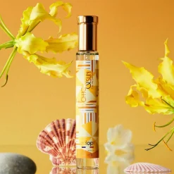 Adopt Chic & Sun Sale