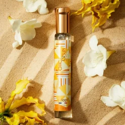 Adopt Chic & Sun Sale