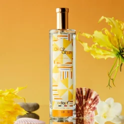Adopt Chic & Sun Sale
