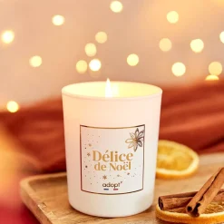 Adopt Delice De Noel Best
