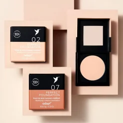 Adopt Perfect Foundation Online